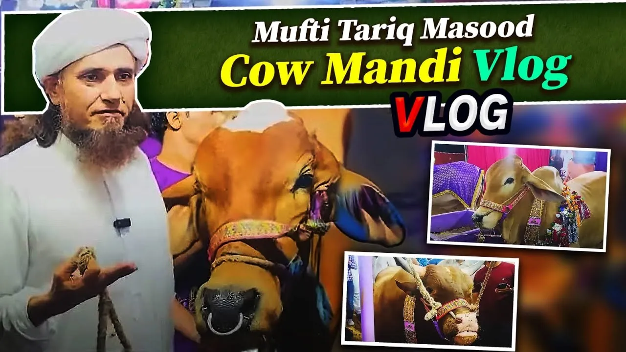 Mufti Tariq Masood Cow Mandi Vlog | Mufti Tariq Masood Speeches